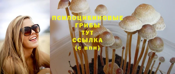2c-b Бородино