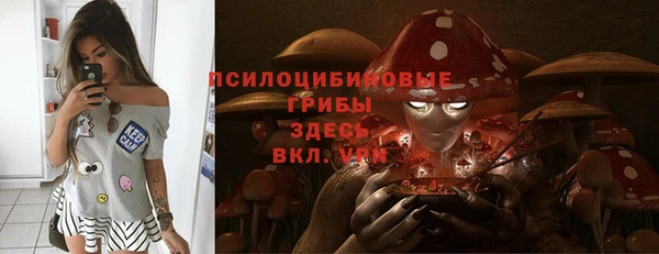 2c-b Бородино