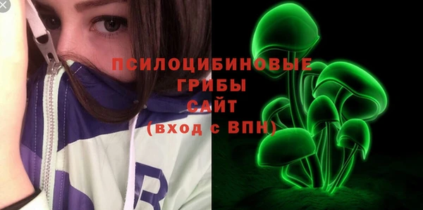 герыч Бронницы