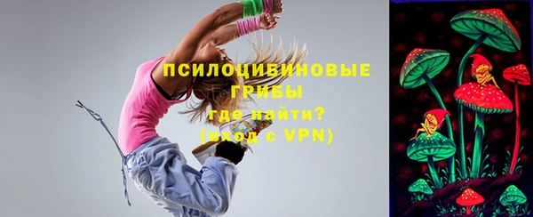 герыч Бронницы