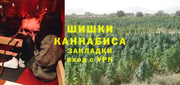 прущие крисы Надым