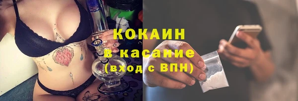 2c-b Бородино