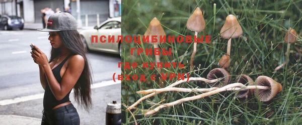 гидра Бугульма