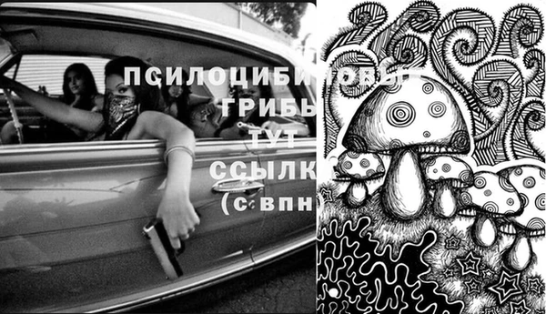 тгк Навашино