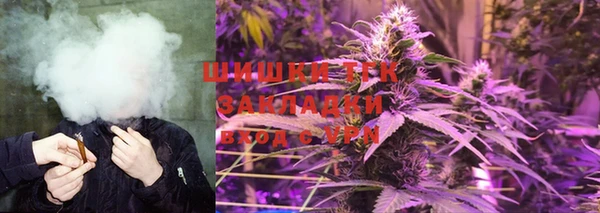 2c-b Бородино