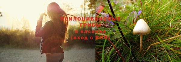 гидра Бугульма