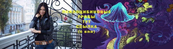 прущие крисы Надым