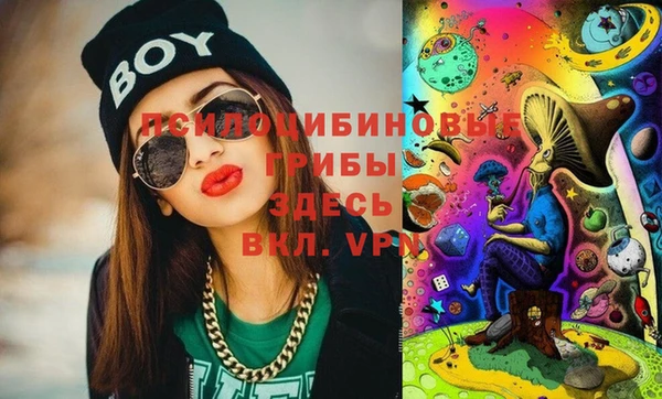 гидра Бугульма