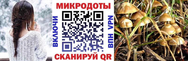 кракен ссылки  Дедовск  Галлюциногенные грибы прущие грибы 