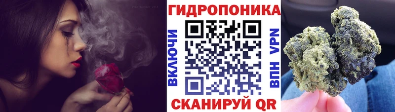 площадка состав  Дедовск  Бошки Шишки MAZAR 